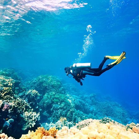 Dormio Bonaire Village ภายนอก รูปภาพ