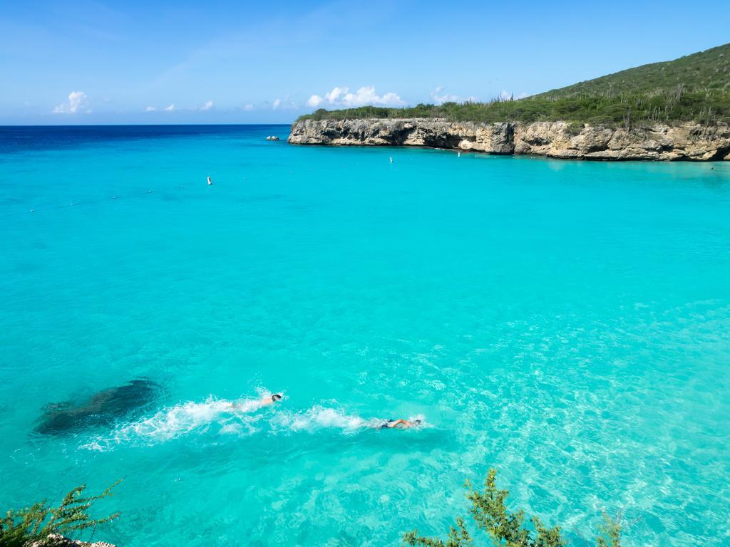 Dormio Bonaire Village ห้อง รูปภาพ
